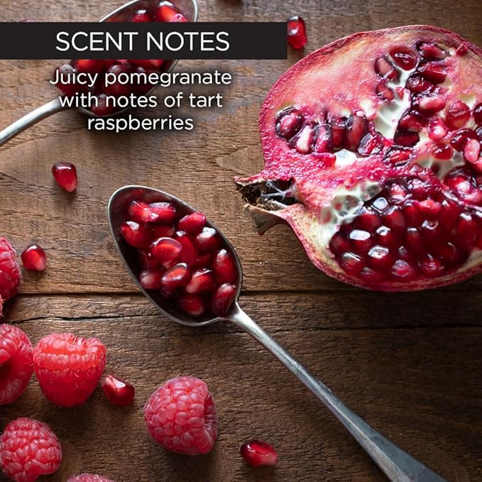 Whish Beauty Pomegranate Body Wash - Moisturizing Bath & Body Gel for Women - Gentle on Sensitive Skin with Shea Butter & Aloe - Sulfate & Paraben Free - 13 fl oz