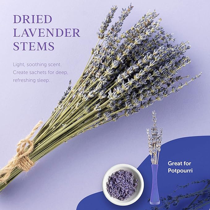 Womens Christmas Gifts – Holiday Gift Baskets for Women, Spa Gifts for Women Who Have Everything – Bath and Body Gifts for Mom, Her Lavender & Lilac Bath Set Soap, Bath Bomb, Jojoba Oil, Lip Balm